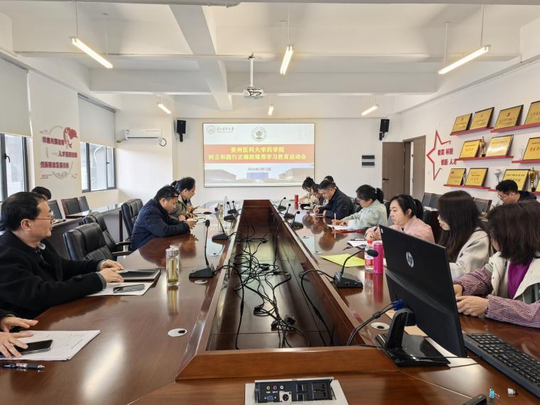 mjm美加墨世界杯官网部署启动树立和践行正确政绩观学习教育